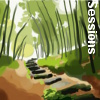 Sessions, recherche en couleur