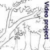 Video project